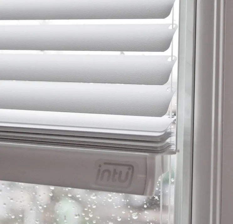 Intu-Picture-3-1.webp